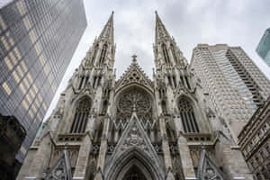 Saint Patrick's Cathedral Looking Up Wallpaper