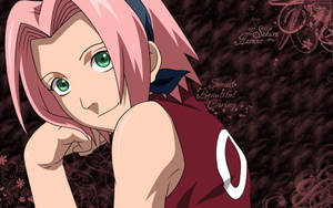 Sakura Haruno Fan Illustration Wallpaper