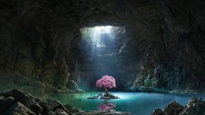 Sakura Tree In The Cave Wallpaper