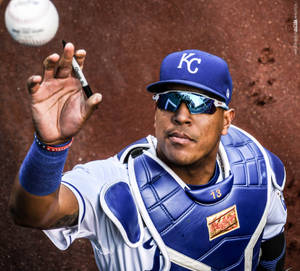 Salvador Perez From Above Wallpaper