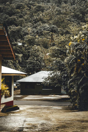 Samoa Village In Pago Pago Wallpaper