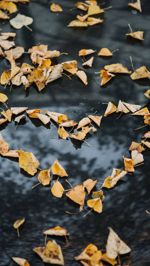 Samsung Galaxy S7 Edge Autumn Leaves Heart Wallpaper