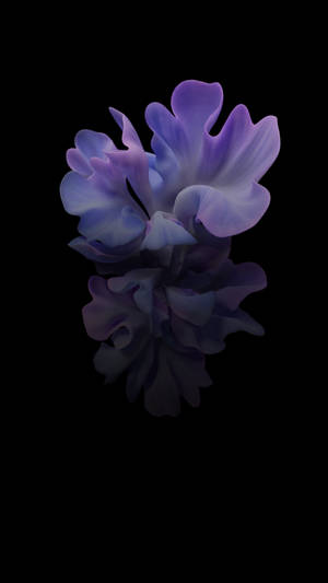 Samsung Galaxy Z Flip Purple Floral Wallpaper