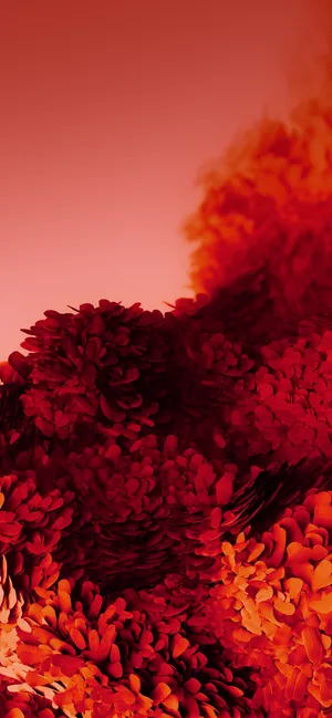 Samsung Mobile Flowers Wallpaper