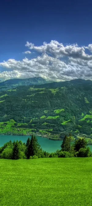 Samsung S21 Ultra Mountain Trees Wallpaper