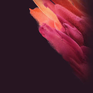 Samsung S21 Ultra Orange Pink Dust Wallpaper