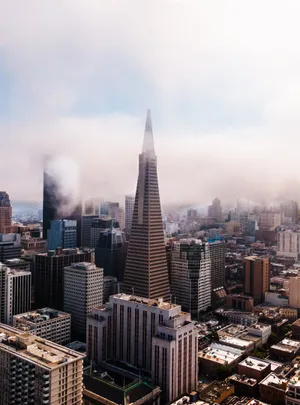 San Francisco Fog Brings The Golden Gate Bridge To Life Wallpaper