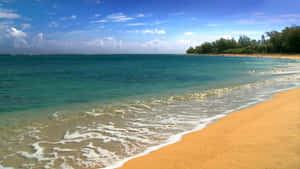 Sandy Beach Waves Hawaii Aesthetic Wallpaper