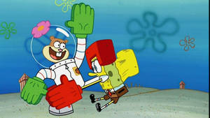 Sandy Cheeks Vs Spongebob Karate Wallpaper