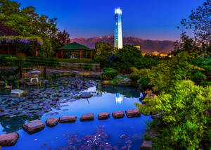 Santiago Chile Japanese Garden Wallpaper