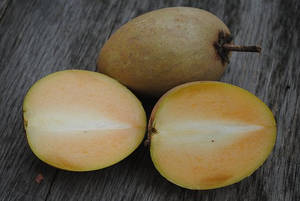 Sapodilla Fruits Wooden Table Wallpaper