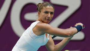 Sara Errani Serious Game Face Wallpaper