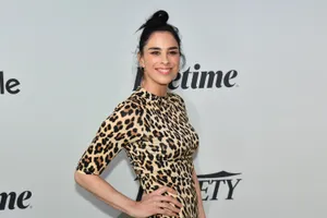 Sarah Silverman Posing In A High-definition Wallpaper Wallpaper