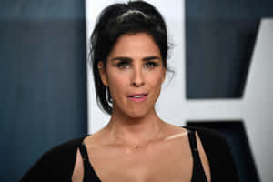 Sarah Silverman Posing In A Vibrant Dress Wallpaper