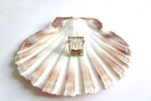 Scallops Shell Diamond Ring Wallpaper