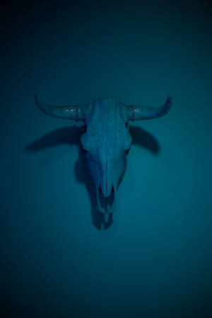 Scary Skulls Of A Bull On Wall Wallpaper