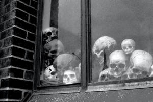 Scary Skulls On A Windowsill Wallpaper