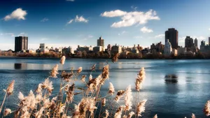 Scenic Boston View Wallpaper