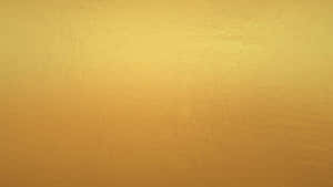 Scenic Landscape With Beautiful Sunlight Wallpaper