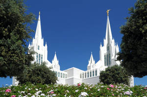 Scenic San Diego California Temple Wallpaper