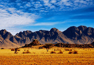Scenic View Of A Western Desert Landscape Against Mountain Backdrop Wallpaper