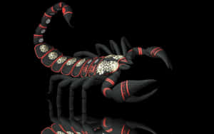 Scorpio Zodiac Tattoo Design Wallpaper