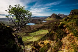 Scotland Art Wallpaper