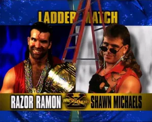 Scott Hall And Shawn Michaels Fight Wallpaper