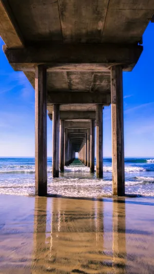 Scripps Pier In San Diego Iphone Wallpaper