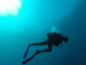 Scuba Diving Face Down Wallpaper
