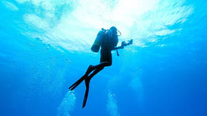 Scuba Diving Swimming Up Wallpaper