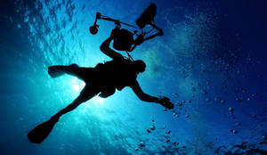 Scuba Diving Worm's Eye View Silhouettes Wallpaper