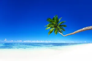 Sea As A National Geographic Desktop Wallpaper