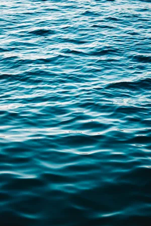 Sea Hd Water Ripples Wallpaper