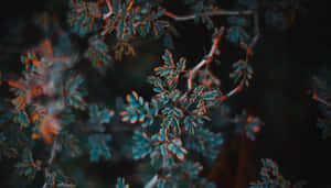 Seascape In Warm Tones Of Orange And Teal Wallpaper