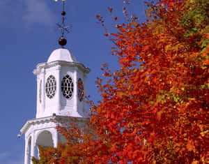 Seasonal Church Tree Autumn Wallpaper