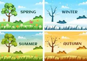 Seasons Of The Year Wallpaper