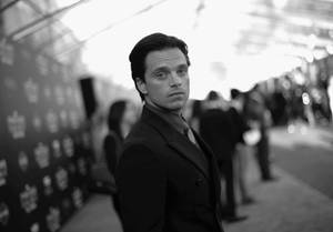 Sebastian Stan Monochrome Wallpaper