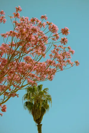 See Nature Come Alive With Plant Iphone Wallpaper