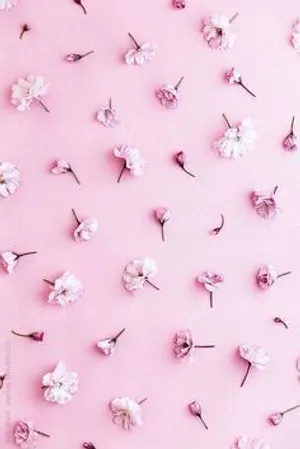 See The Cutest Phone Design Ever! Wallpaper