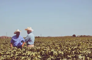 Senator John Cornyn Visiting A Texas Farm Wallpaper