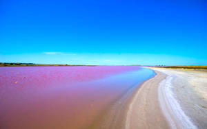 Senegal Lake Retba Wallpaper