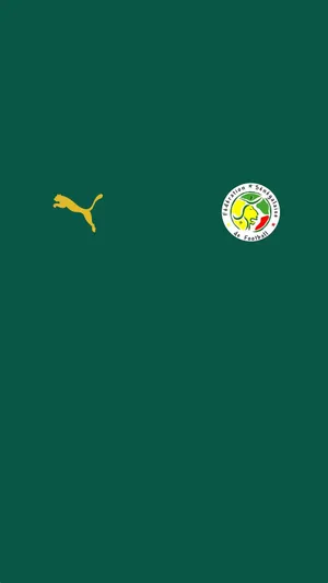 Senegal National Football Team Puma Jersey Wallpaper
