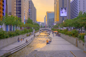 Seoul Cheonggyecheon Stream Wallpaper