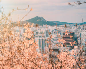 Seoul Skyscrapers And Mountains Wallpaper