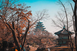 Seoul Temple Palace Wallpaper