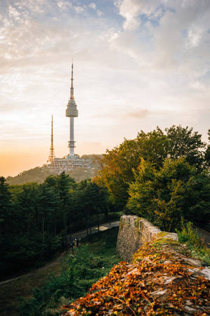 Seoul Tower At Namsan Park Wallpaper