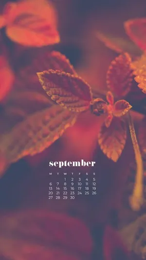 September Autumn Leaves Calendar Wallpaper Wallpaper