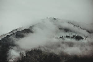 Serbia Foggy Tara Mountain Wallpaper