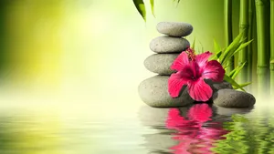 Serene Hibiscus Stone Spa Scene Wallpaper